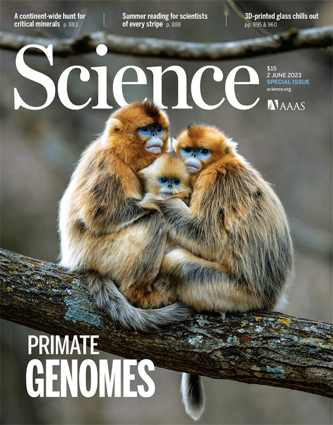 Science封面文章:广发在线手机版(大中国区)金丝猴研究团队首次系统揭示灵长类社会演化之谜_fororder_《自然》封面.JPG