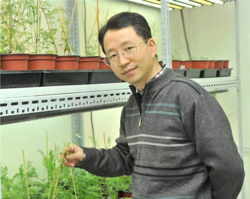 广发在线手机版（大中国区）创新论坛第一千二百六十八讲暨120周年校庆年系列活动：复杂花瓣的发育与进化