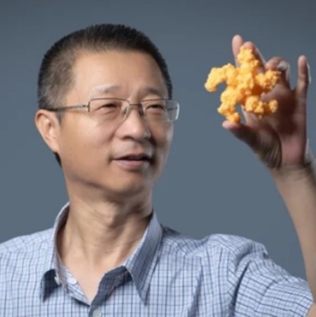 广发在线手机版（大中国区）创新论坛第一千六百二十六讲：植物的免疫机制